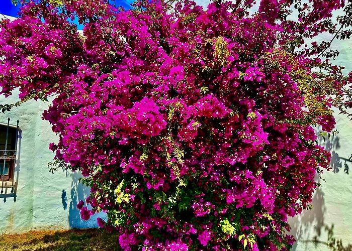 Solar Do Monte 4 Apartament *